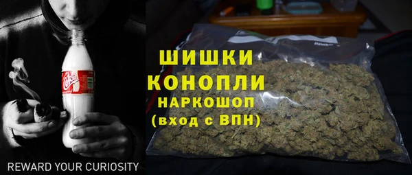 ГАЛЛЮЦИНОГЕННЫЕ ГРИБЫ Белокуриха