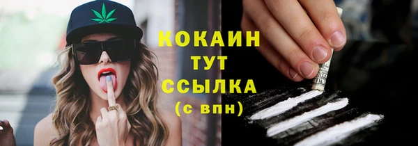 ГАЛЛЮЦИНОГЕННЫЕ ГРИБЫ Белокуриха
