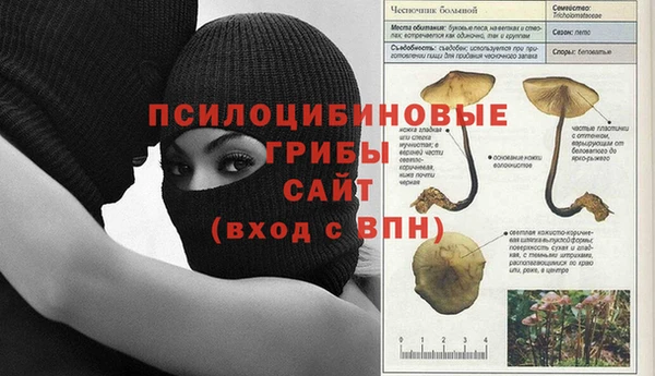 эйфоретик Беломорск