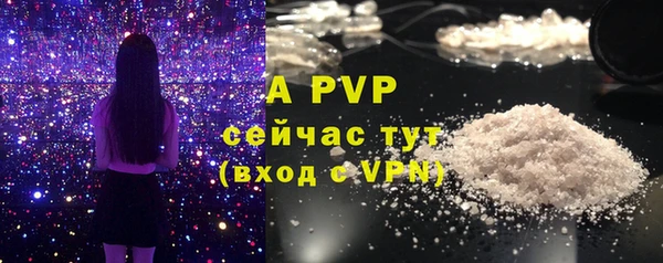ГАЛЛЮЦИНОГЕННЫЕ ГРИБЫ Белокуриха