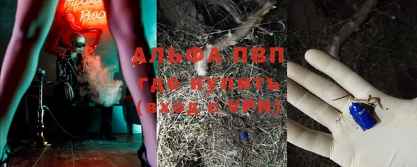 эйфоретик Беломорск