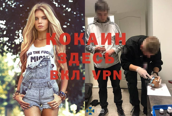 ГАЛЛЮЦИНОГЕННЫЕ ГРИБЫ Белокуриха