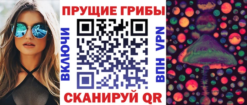 Галлюциногенные грибы прущие грибы  Будённовск 